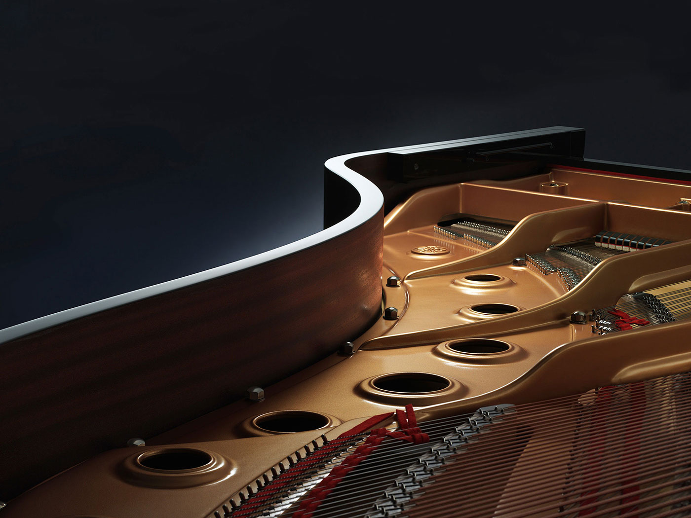Close-up of soundboard of a Yamaha grand piano