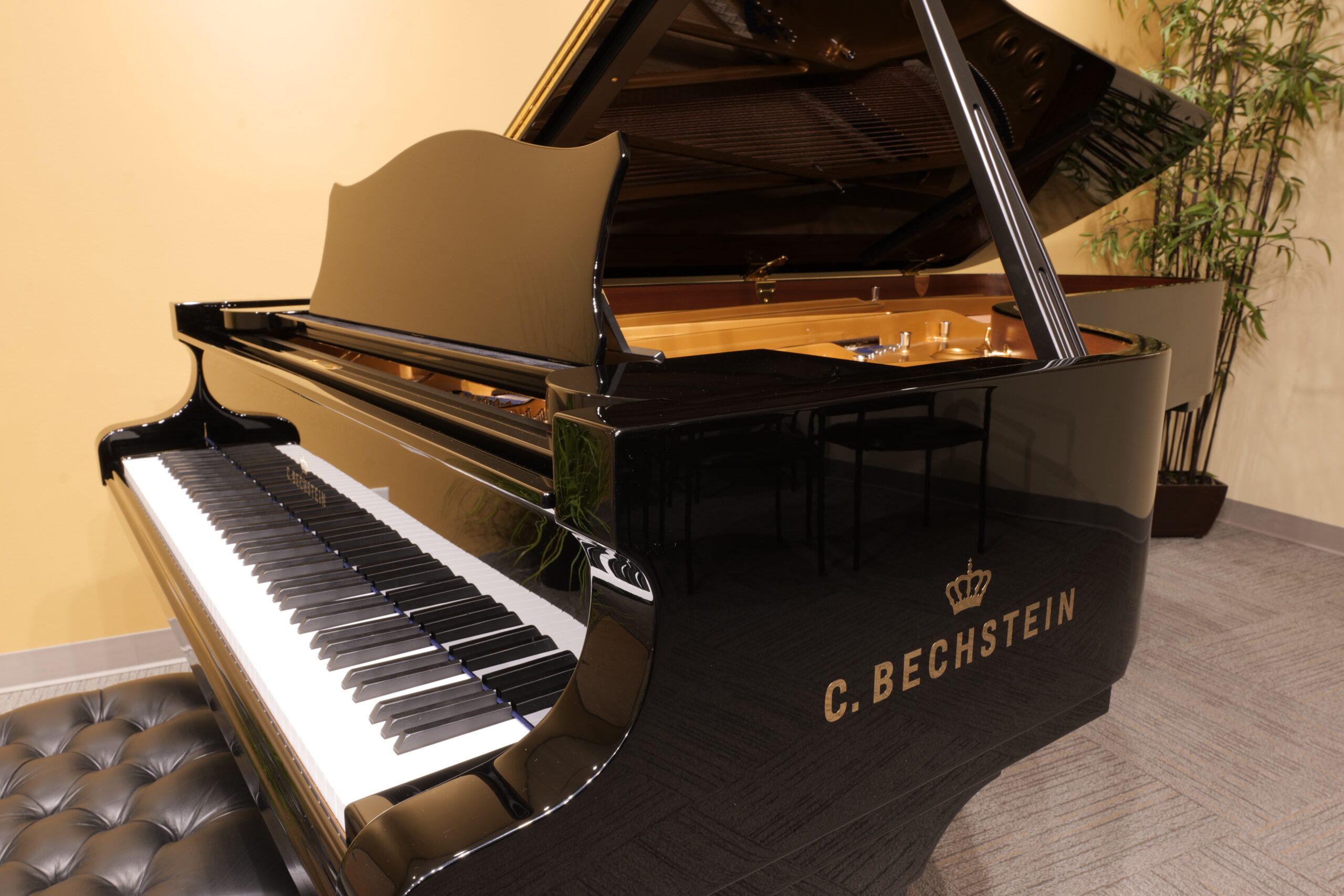 Mason & Hamlin piano in our recital hall