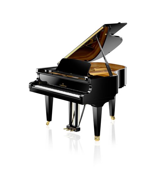 C. Bechstein Model A 160