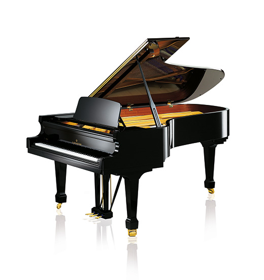 C. Bechstein Model A 228