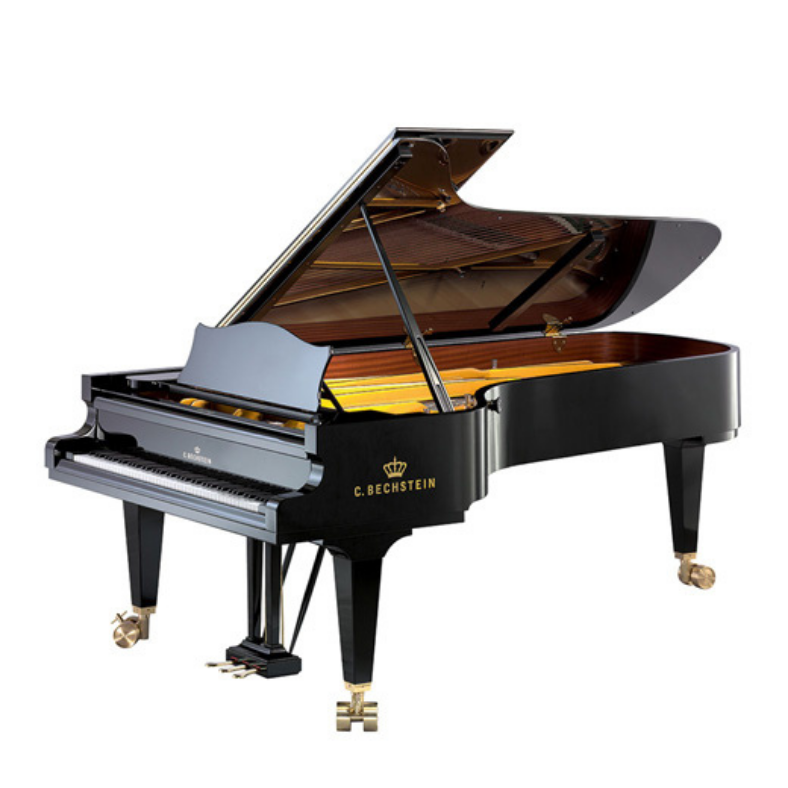 C. Bechstein Model D 282