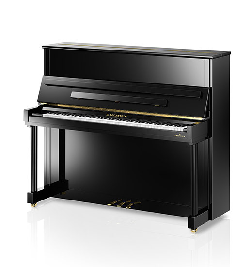 C. Bechstein Model R 6