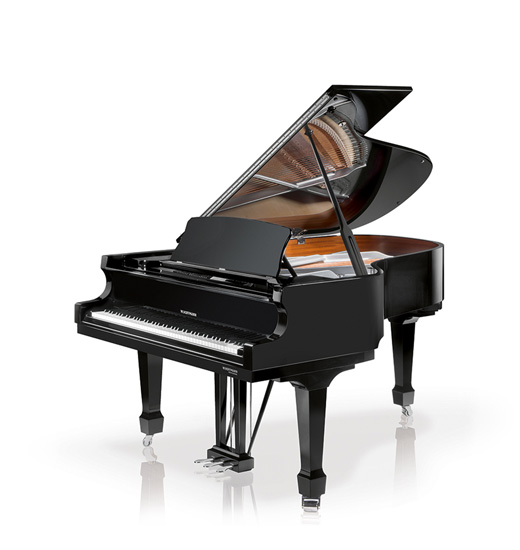 W. Hoffmann Model P 188