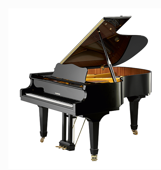 W. Hoffmann Model V 175