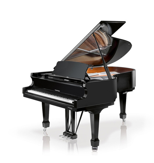 W. Hoffmann Model P 206