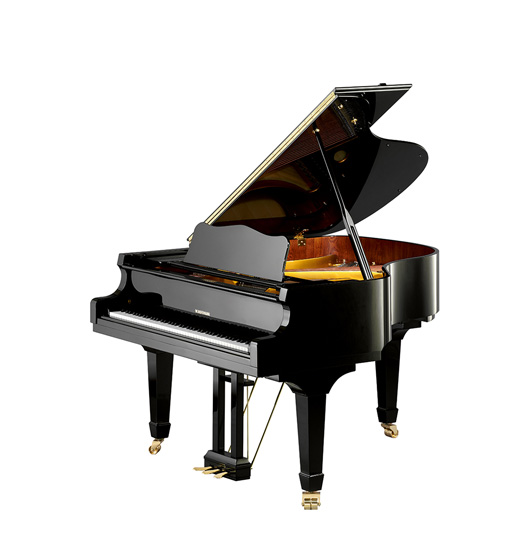 W. Hoffmann Model V 158